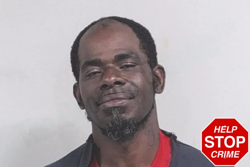 Drametrise Ashley mugshot