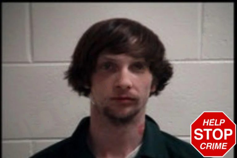 Dylan Buice mugshot – Henry County , Georgia Dylan Buice