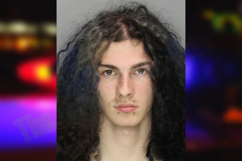 Dylan Simmons Mugshots