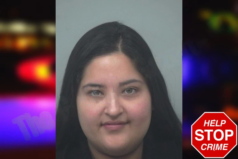 Eileen Gonzalez-Vasquez mugshot – Gwinnett County , Georgia Eileen Gonzalez-Vasquez mugshot