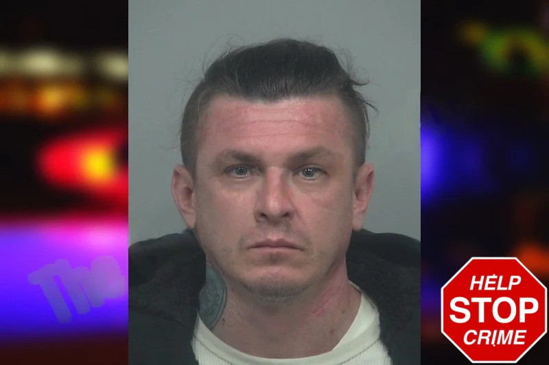 Eldin Rekic Mugshots