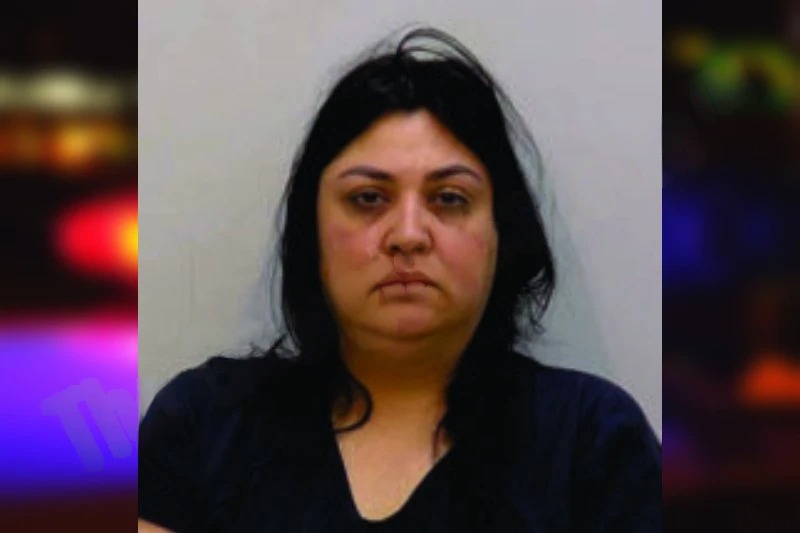 Eleanny Sanchez-Fernandez Mugshots