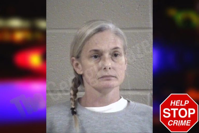 Elisa Highfield mugshot – Whitfield County , Georgia Elisa Highfield
