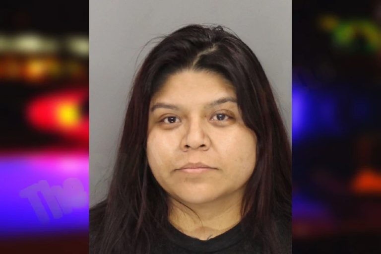 Elizabeth Cohetzaltitla mugshot – Cobb County , Georgia Elizabeth Cohetzaltitla