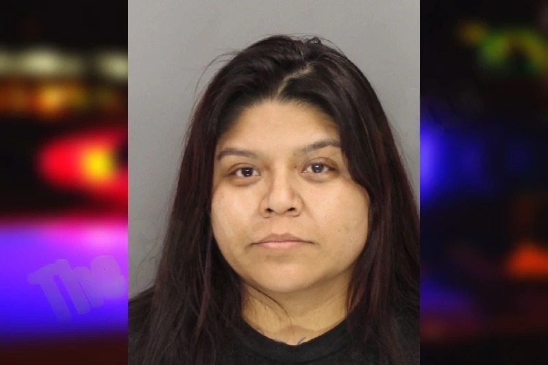 Elizabeth Cohetzaltitla Mugshots