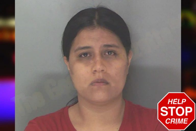 Elizabeth Diaz Medina mugshot – Douglas County , Georgia Elizabeth Diaz Medina
