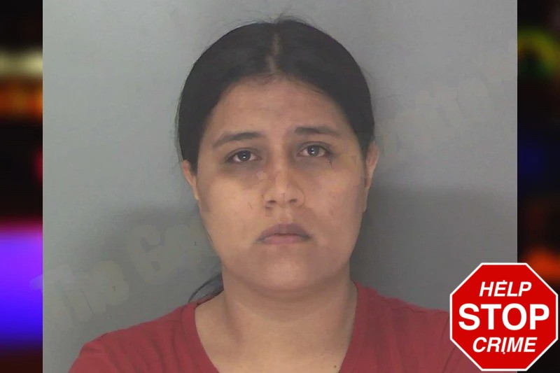 Elizabeth Diaz Medina Mugshots