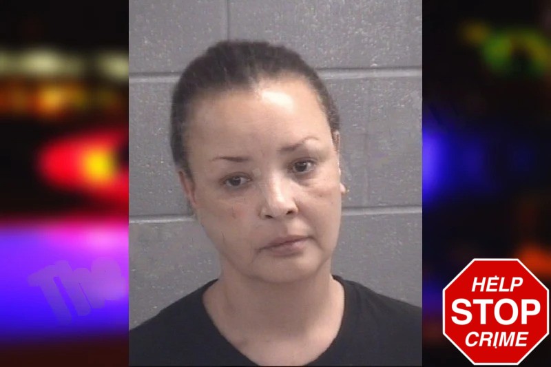 Elizabeth Fields Mugshots