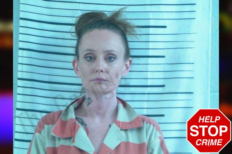 Elizabeth Harrison Mugshots