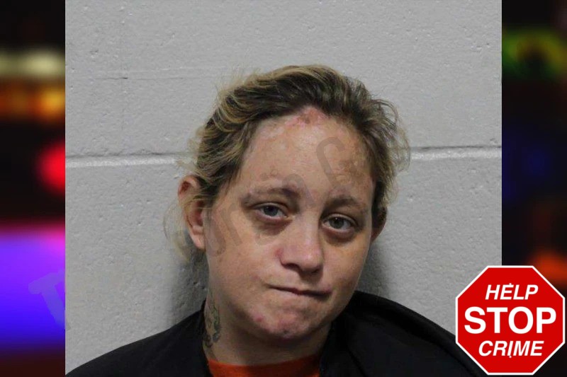 Elizabeth Hibbs Mugshots