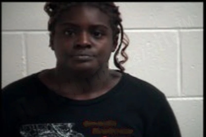 Elizabeth Johnson mugshot – Henry County , Georgia Elizabeth Johnson mugshot