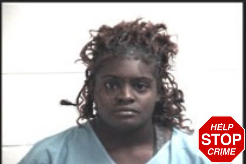 Elizabeth Johnson mugshot – Henry County , Georgia Elizabeth Johnson mugshot