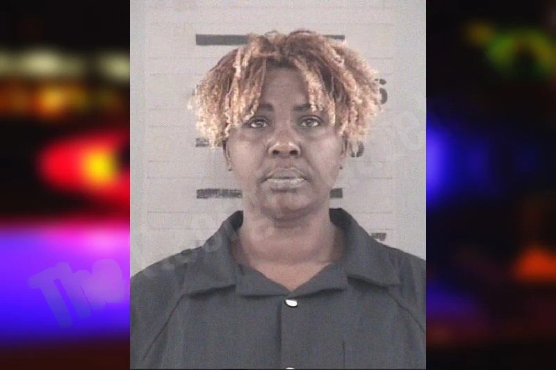 Elizabeth Laster Mugshots