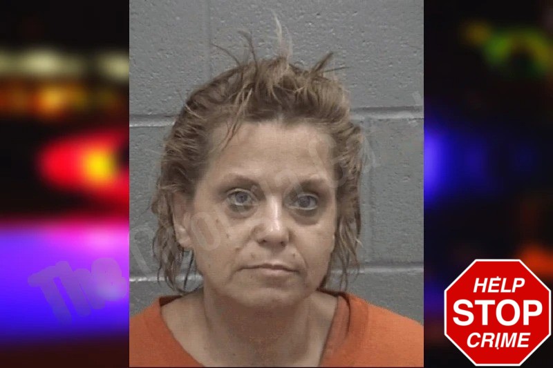 Elizabeth Leaphart Mugshots