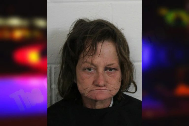 Elizabeth Little mugshot – Floyd County , Georgia Elizabeth Little
