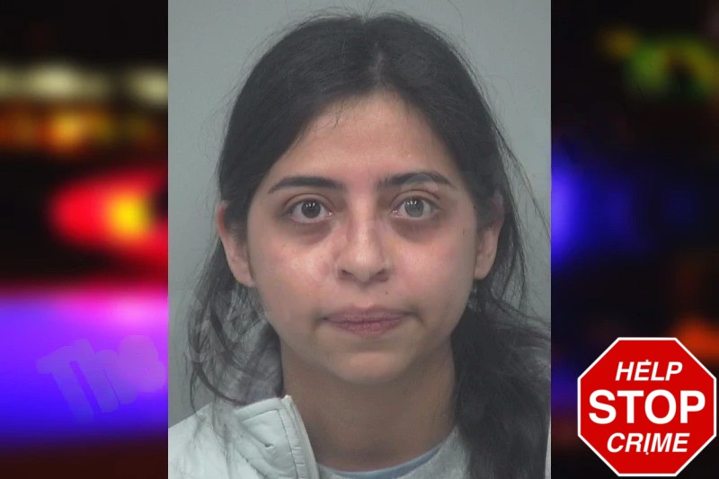 Elizabeth Perez Tello Mugshots