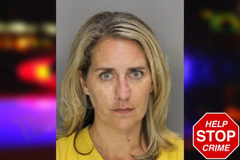 Elizabeth Piazzi mugshot – Cobb County , Georgia Elizabeth Piazzi