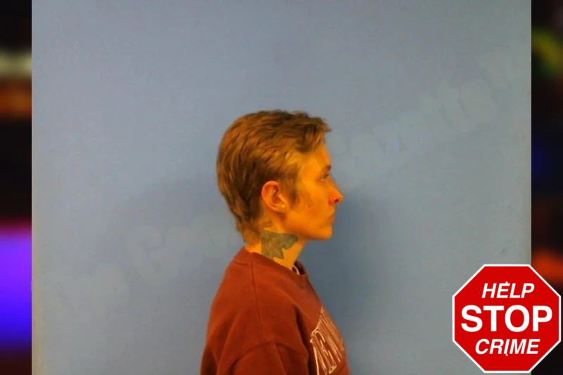 Elizabeth Rogers Mugshots