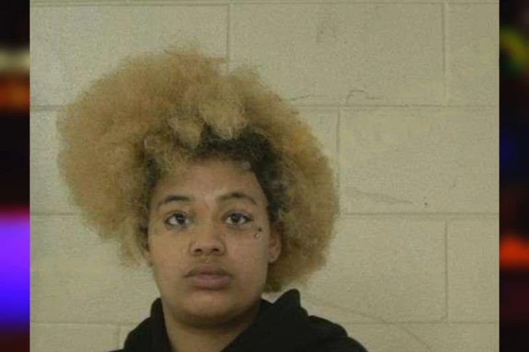 Elizabeth Stewart-Lira mugshot – Liberty County , Georgia Elizabeth Stewart-Lira