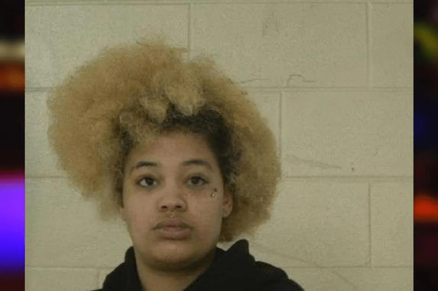 Elizabeth Stewart-Lira Mugshots