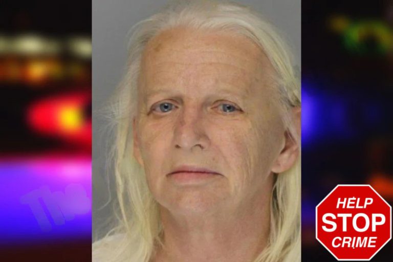 Elizabeth Turpin mugshot – Hall County , Georgia Elizabeth Turpin