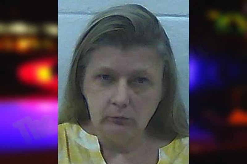 Ellen Davis Mugshots