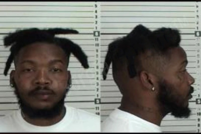 Elvis Lanier Mugshots