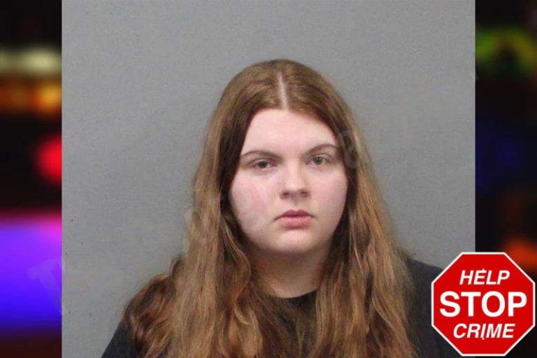 Emalie Minish mugshot – White County , Georgia Emalie Minish