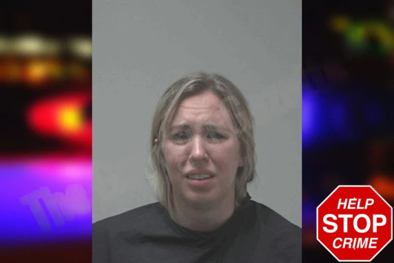 Emily Blanks mugshot – Cobb County , Georgia Emily Blanks