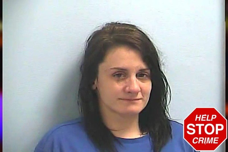 Emily Degive mugshot – Dawson County , Georgia Emily Degive mugshot