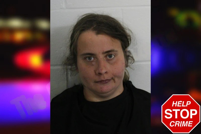 Emily Holcombe Mugshots