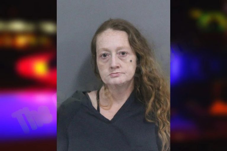 Emily Spain mugshot – Catoosa County , Georgia Emily Spain