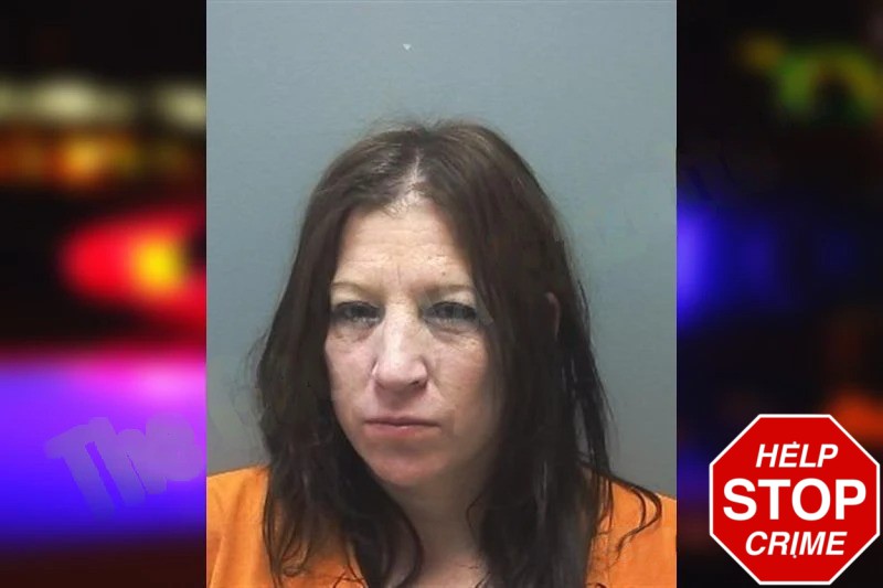 Emily Wilson Mugshots