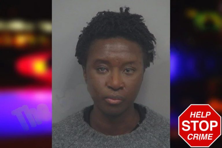 Emma Thelusme mugshot – Gwinnett County , Georgia Emma Thelusme