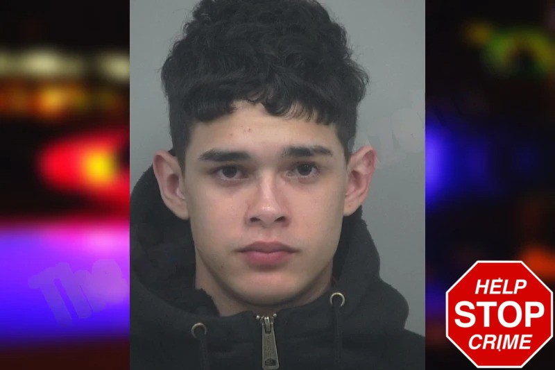 Engerson Villasmil Mugshots