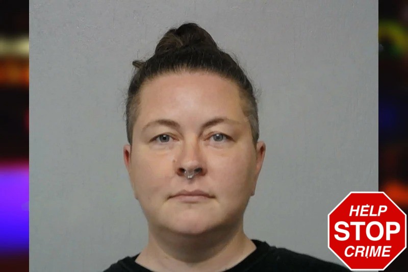 Erica Brassard Mugshots