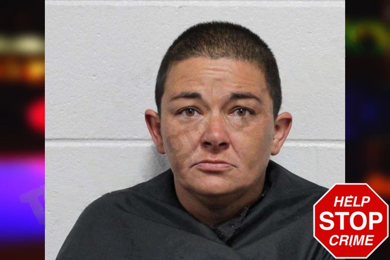 Erica Kemmitz Mugshots