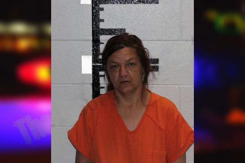 Erica Pace mugshot – Murray County , Georgia Erica Pace mugshot