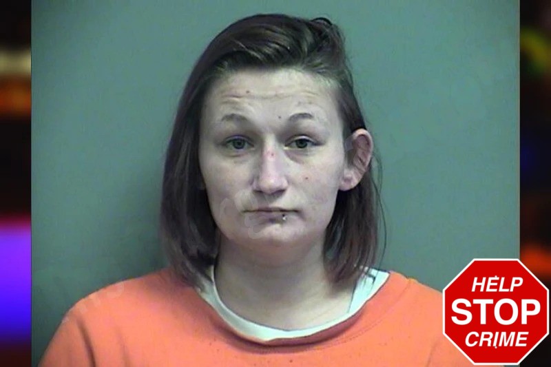 Erica Smith Mugshots