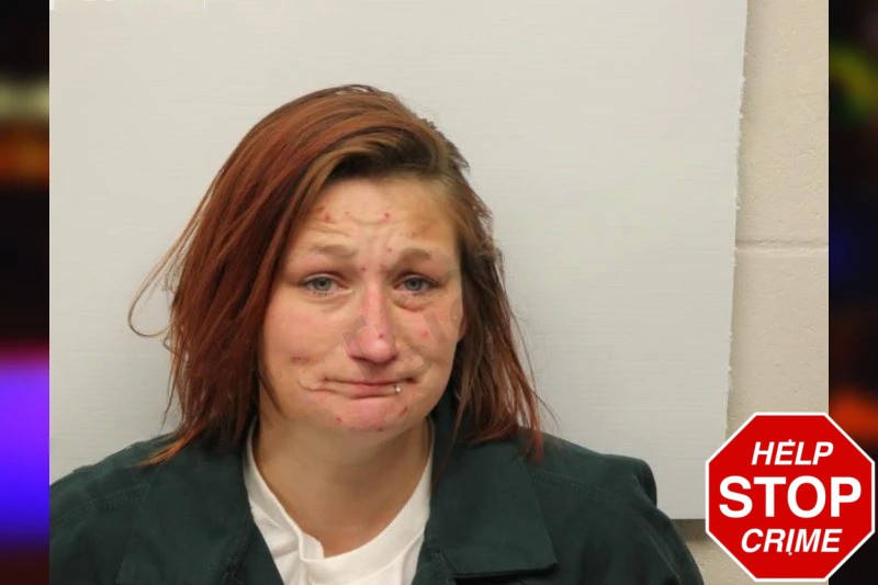 Erica Smith Mugshots