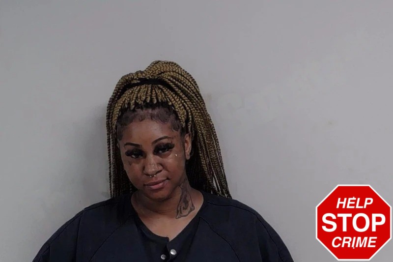 Erica Tabor Mugshots