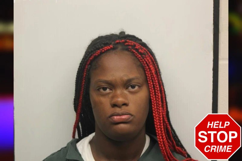 Erika Bright Mugshots