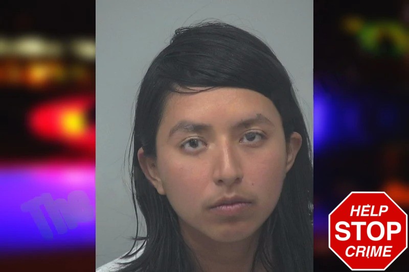 Erika Mendoza Mugshots