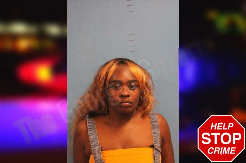 Erika Williams Mugshots