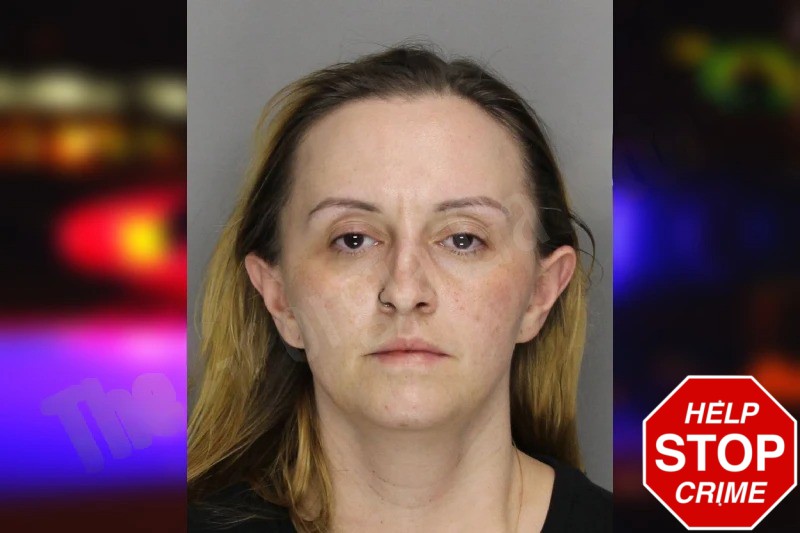 Erin Beverly mugshot – Cobb County , Georgia Erin Beverly mugshot