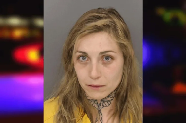 Erin Celano mugshot – Cobb County , Georgia Erin Celano
