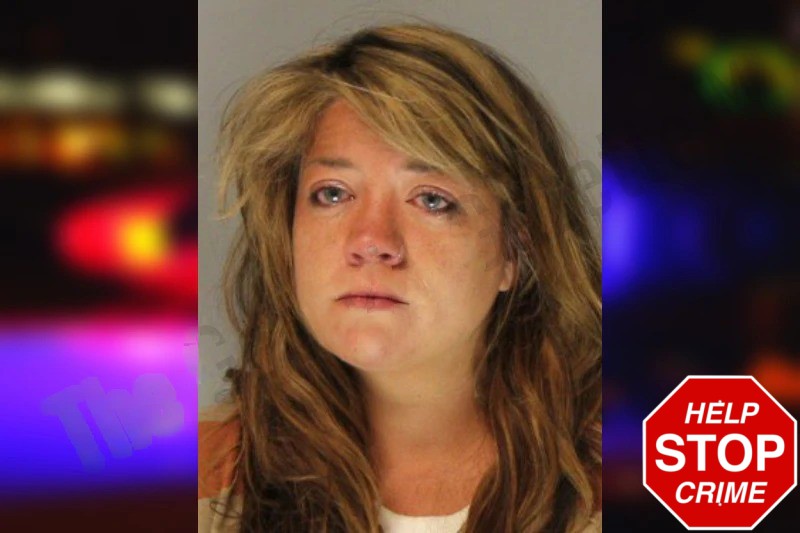 Erin Elsamady Mugshots