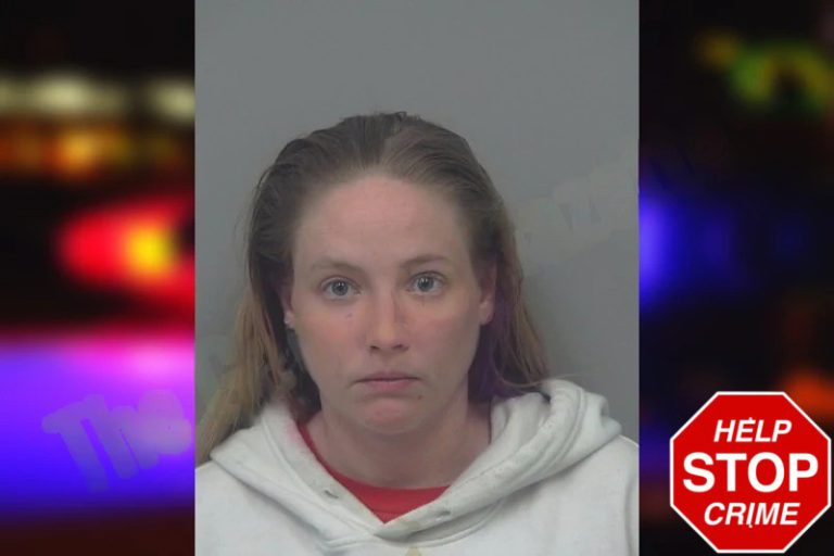 Erin Hungerford mugshot – Gwinnett County , Georgia Erin Hungerford