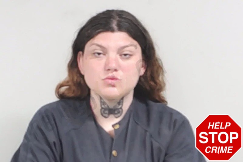 Erin Rodriguez Mugshots