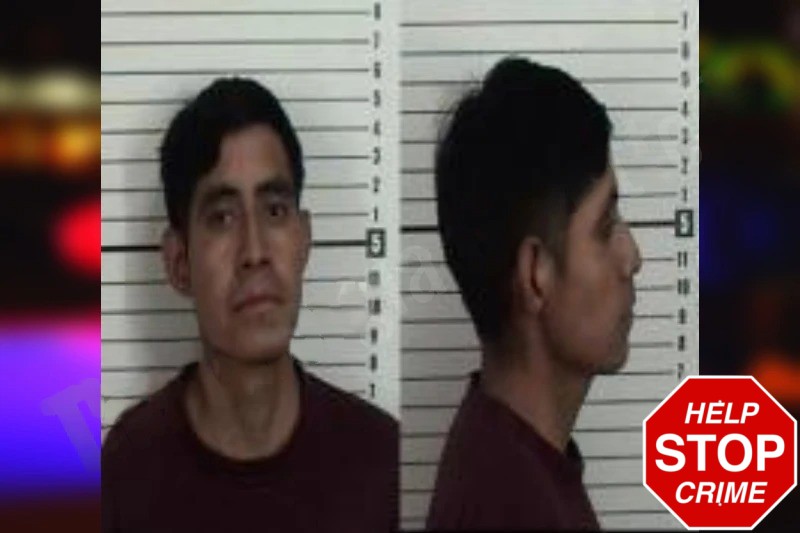 Ernesto Jimenez-Loaeza Mugshots